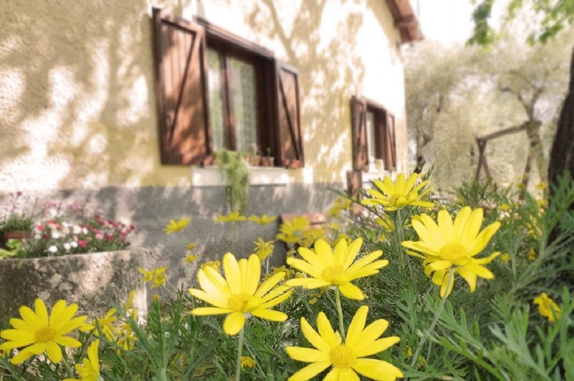 Agriturismo Macchiapiede Sala Consilina Exterior foto